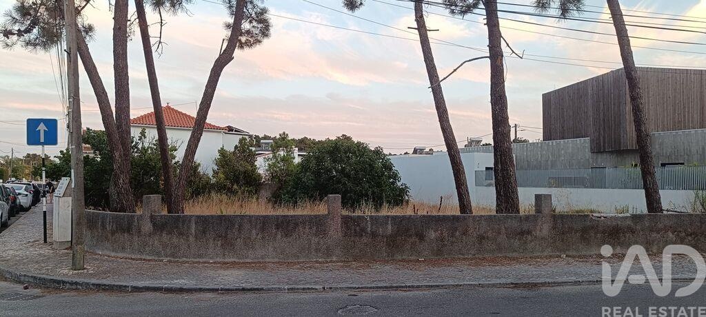 Land in Charneca de Caparica - Image 3
