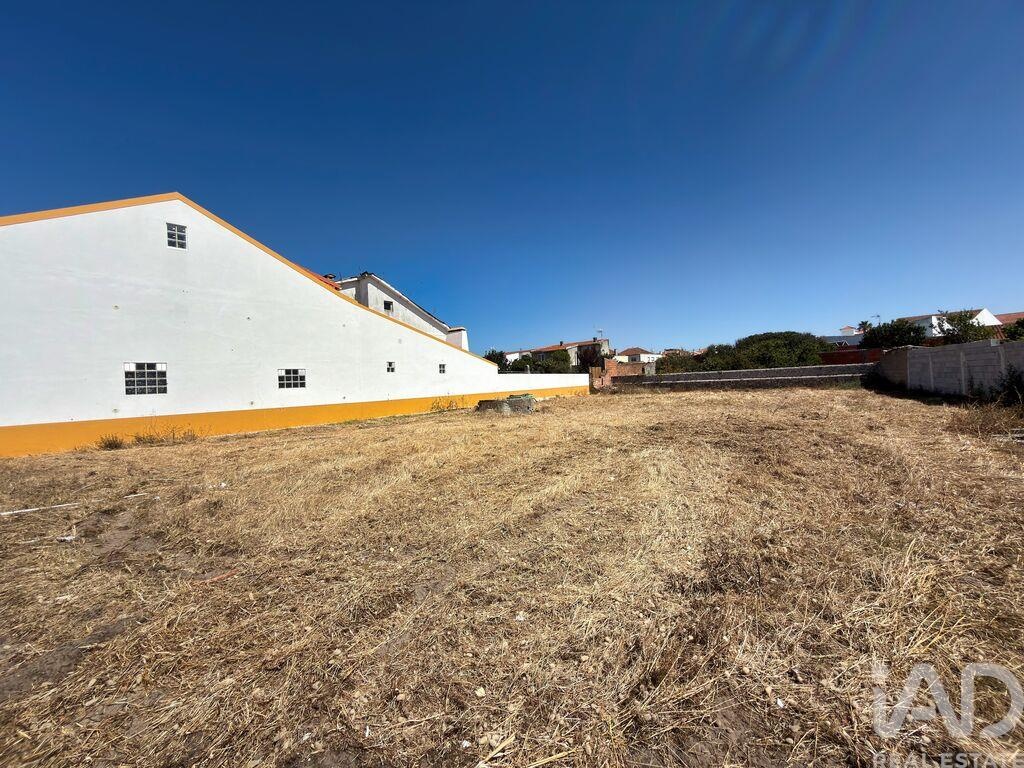 Land in Vieira de Leiria - Image 3