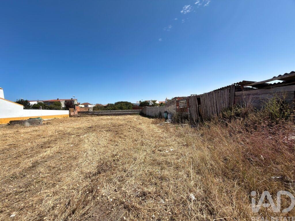 Land in Vieira de Leiria - Image 2