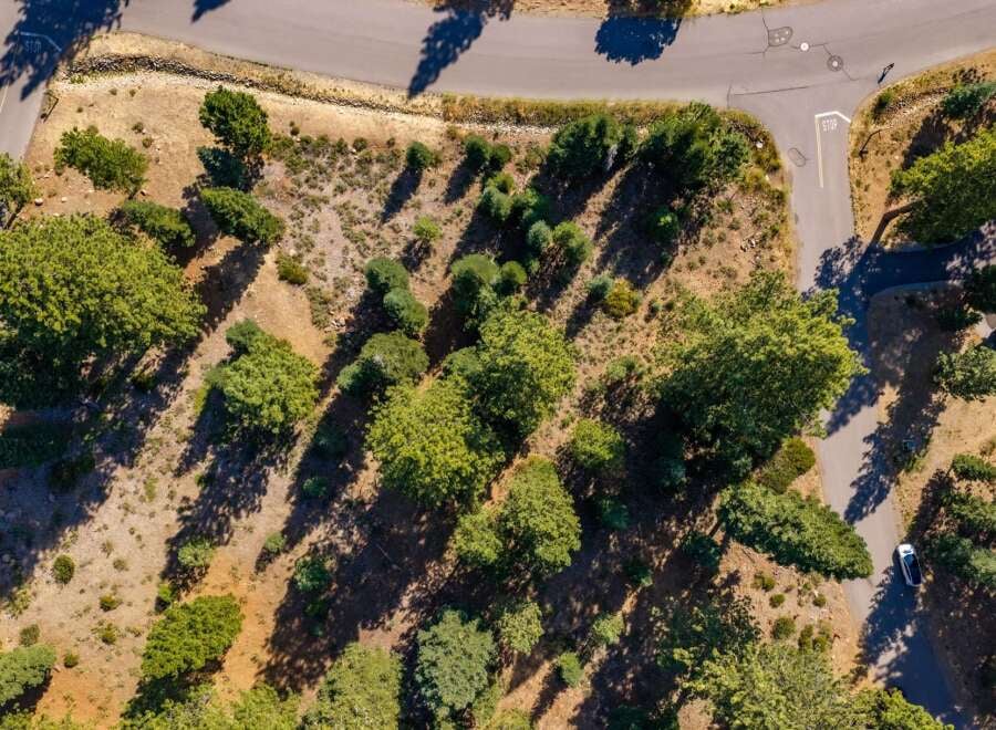 House in Truckee - Image 2