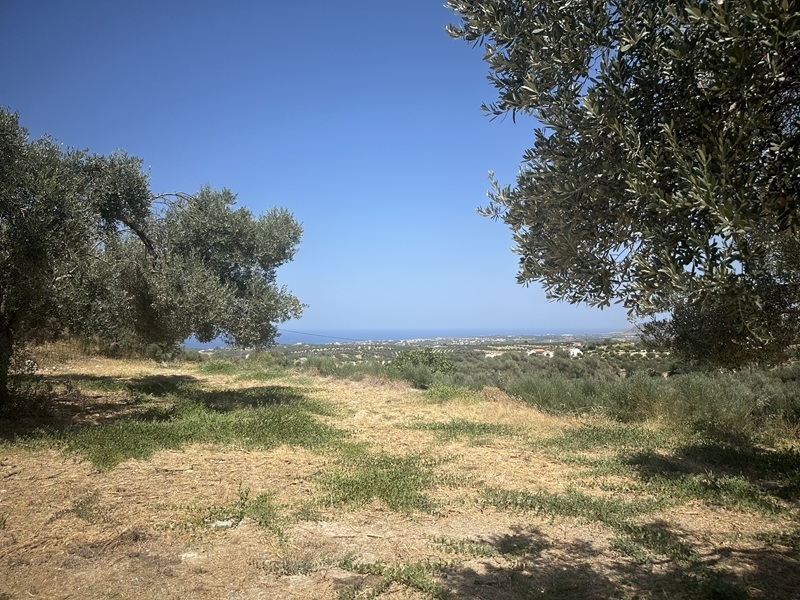 House in Kyrianna