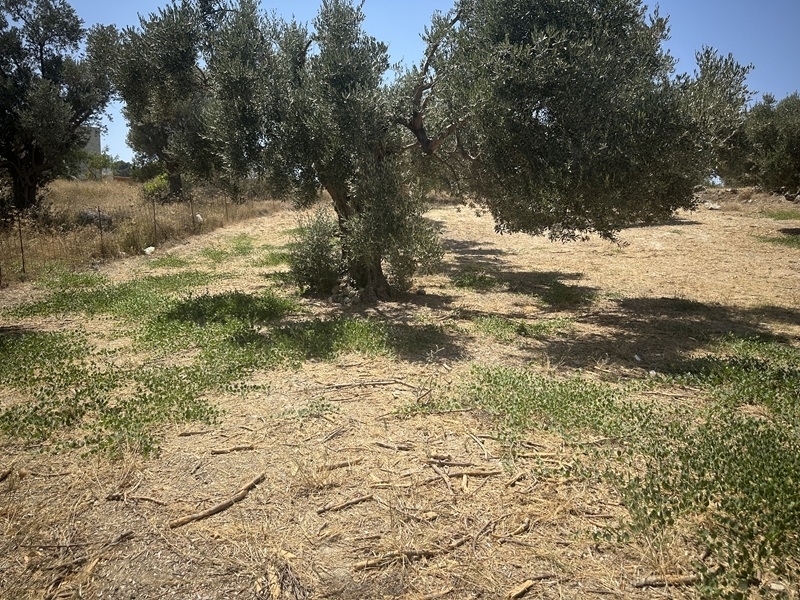 House in Kyrianna - Image 3