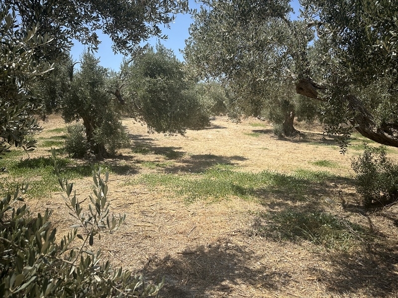 House in Kyrianna - Image 2
