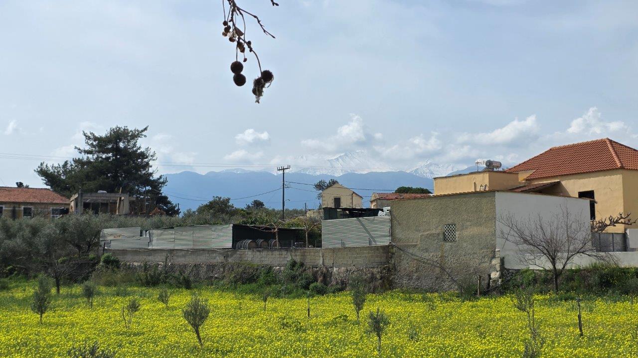 House in Souri - Image 2