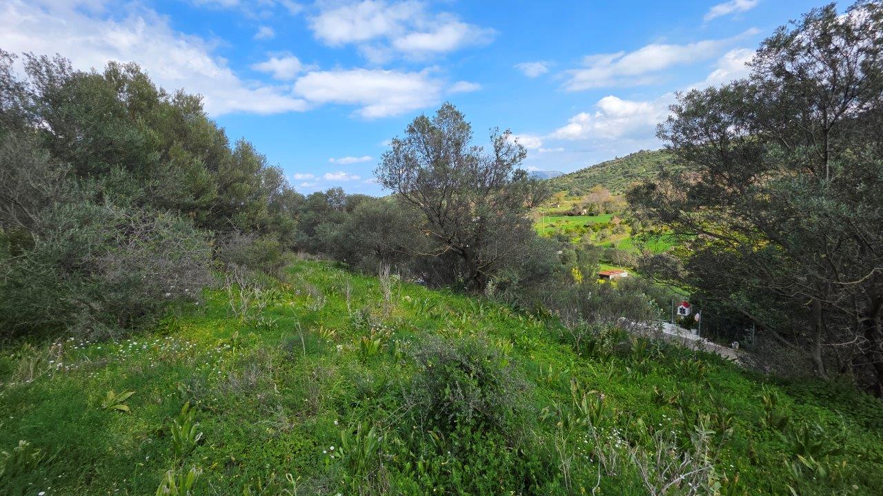Land in Stylos - Image 2