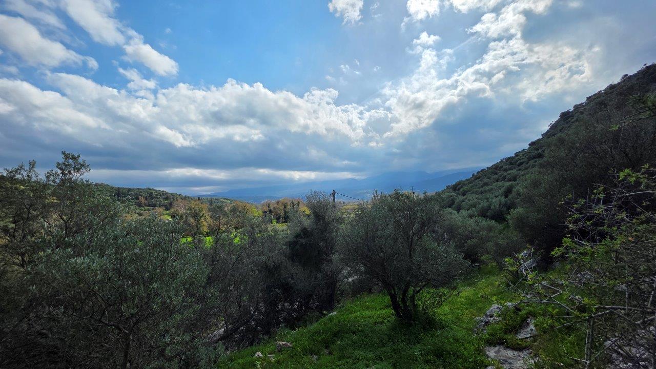 Land in Stylos - Image 3