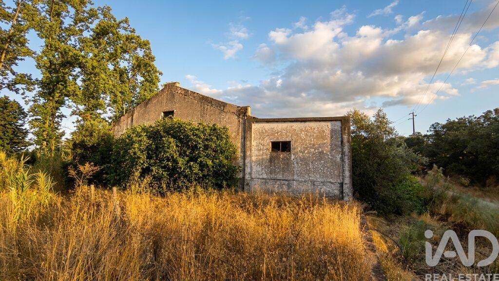 Land in Cabeco de Vide - Image 3