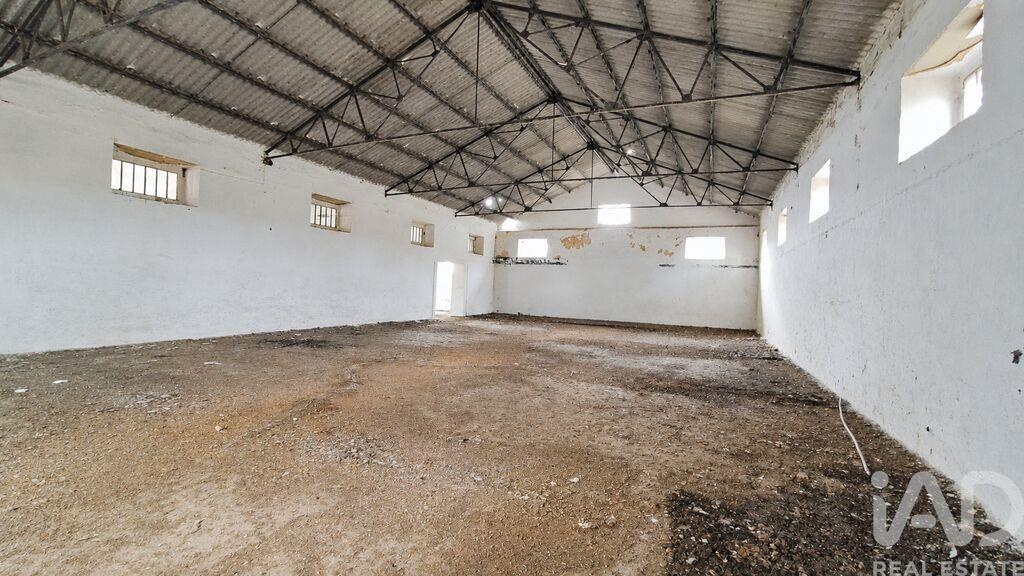 Land in Cabeco de Vide