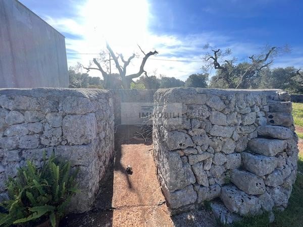 Land in San Vito dei Normanni - Image 3