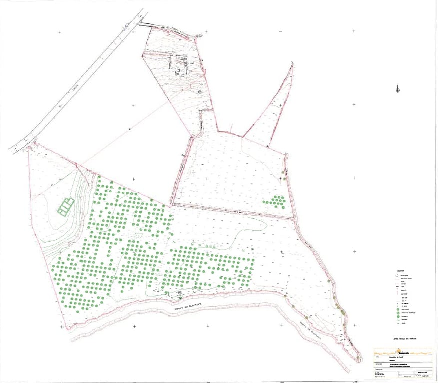House in Quarteira - Image 3