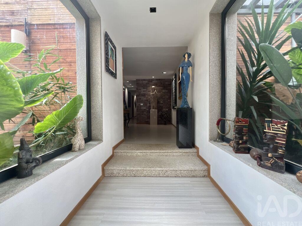 House in Carvalhal de Vermilhas - Image 3