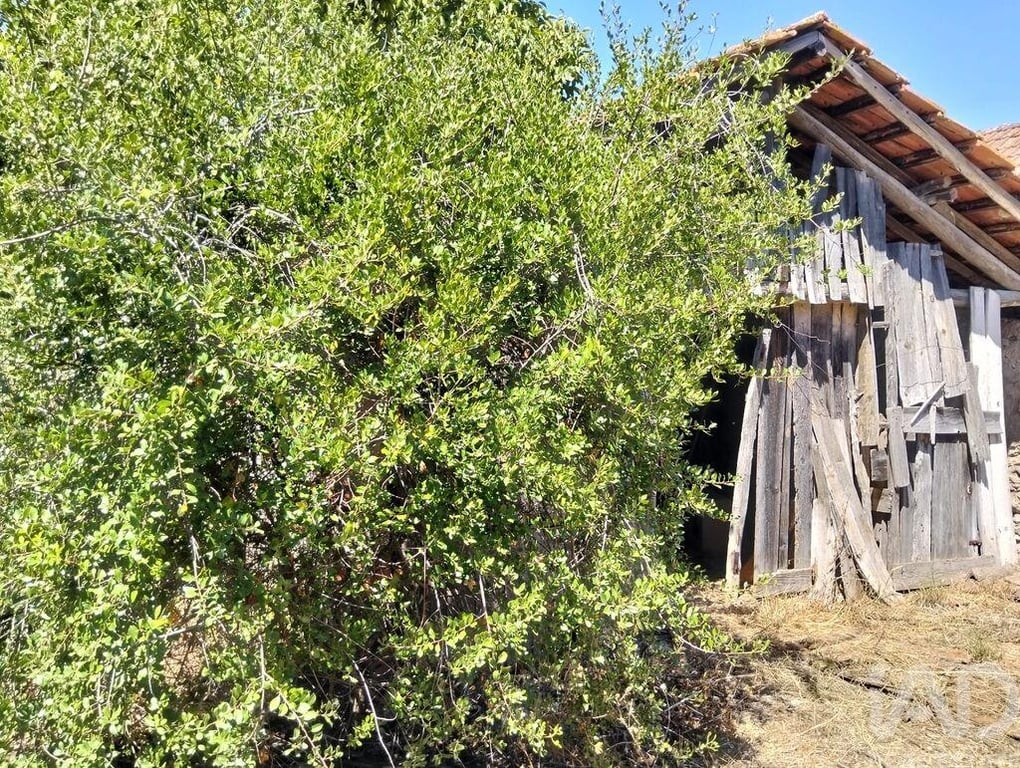 House in Brogueira - Image 2