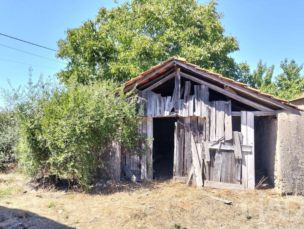 House in Brogueira