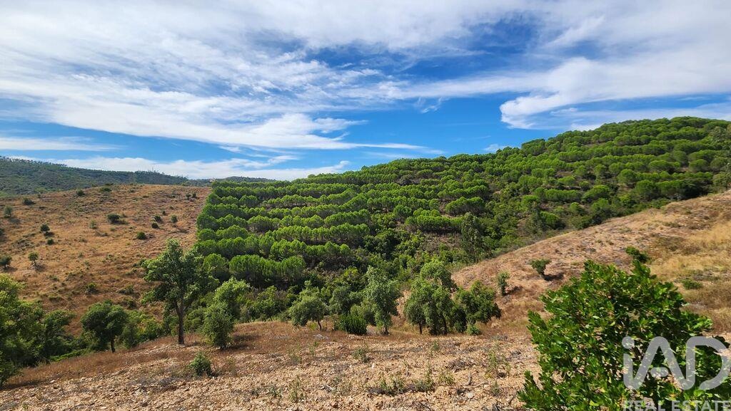 Land in Silves
