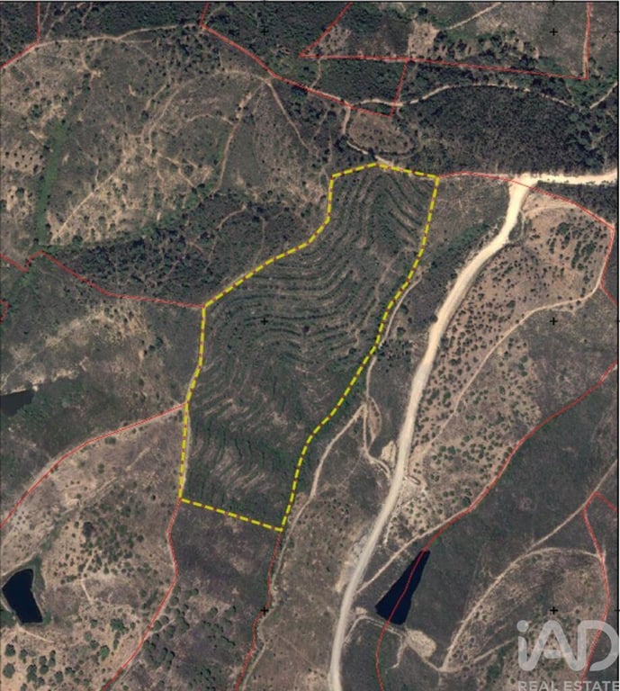 Land in Silves - Image 2