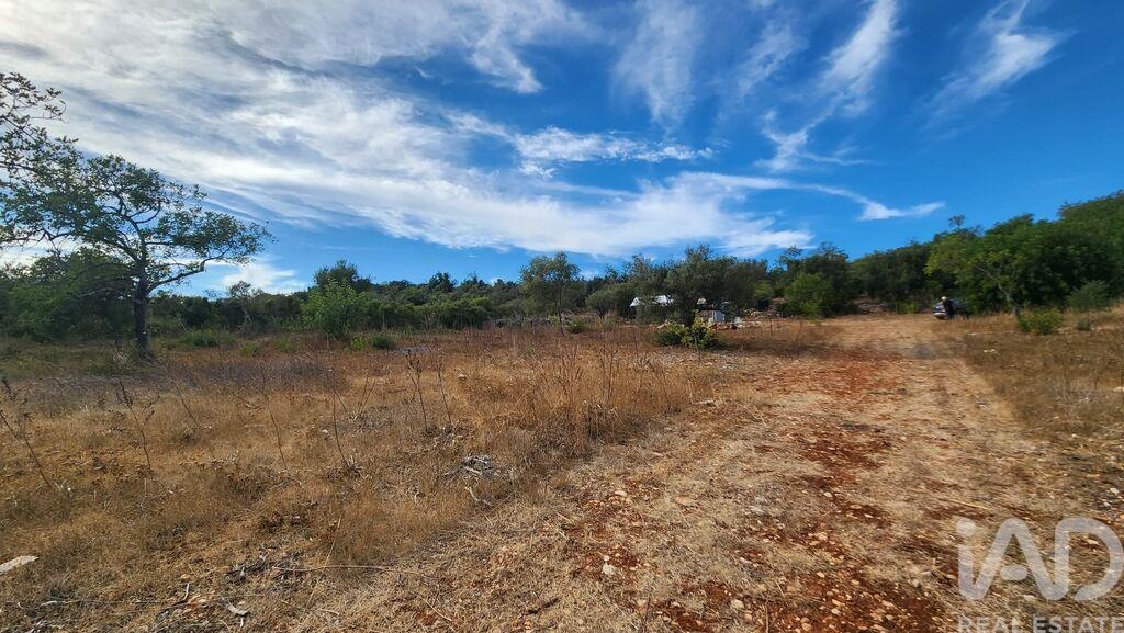 Land in Silves - Image 3