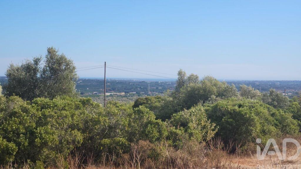 Land in Silves - Image 2