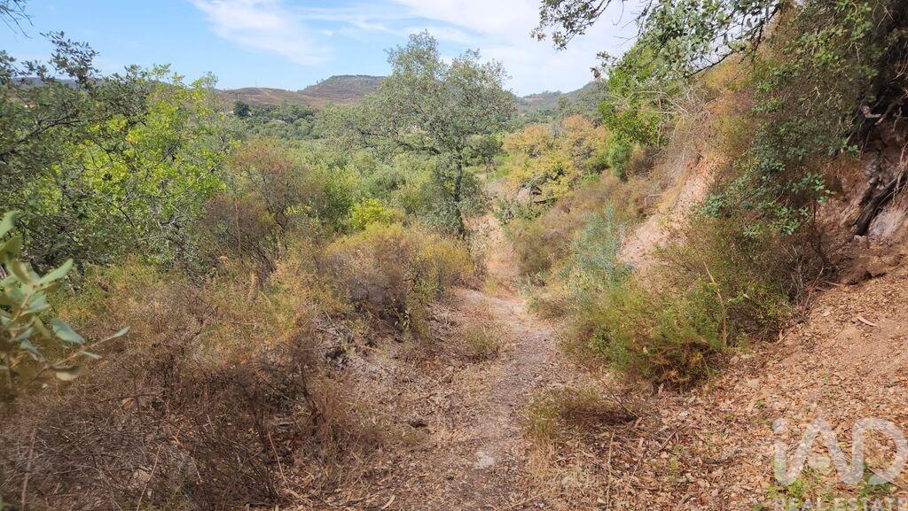 Land in Silves - Image 2