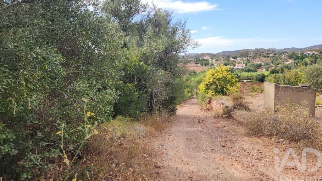 Land in Silves