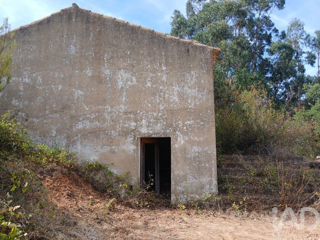 Farm, Ranch or Equestrian in Saboia