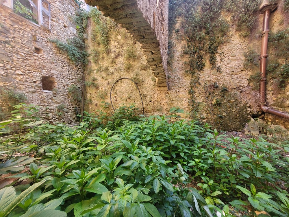 House in Alignan-du-Vent - Image 3
