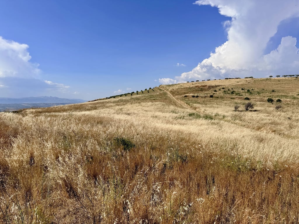 Land in Cattolica Eraclea - Image 3