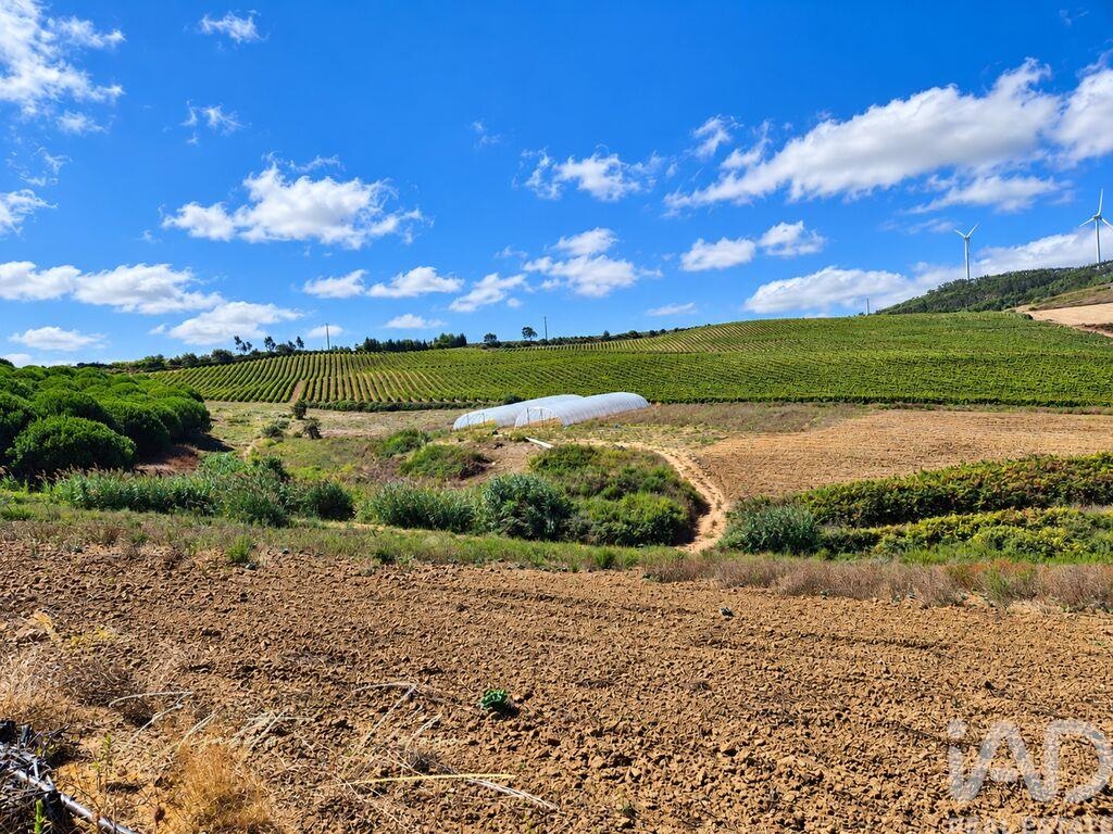 Farm, Ranch or Equestrian in Dois Portos - Image 2