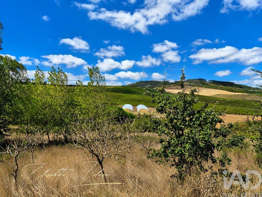 Farm, Ranch or Equestrian in Dois Portos - Image 3