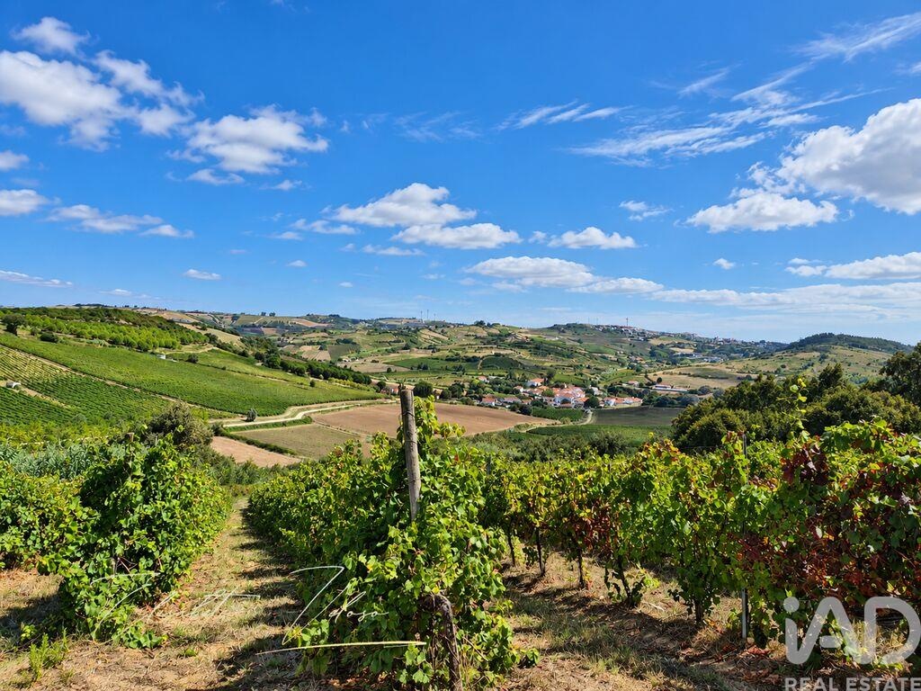 Farm, Ranch or Equestrian in Dois Portos