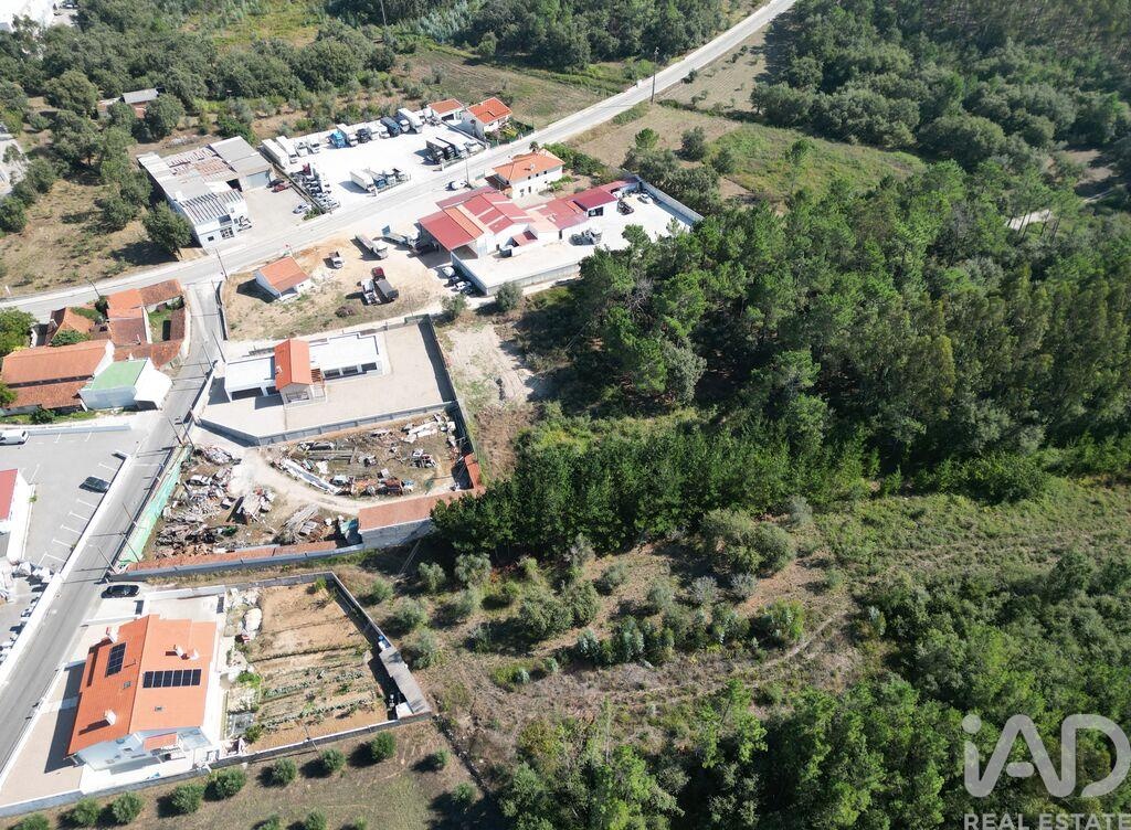 Land in Pedreiras - Image 2