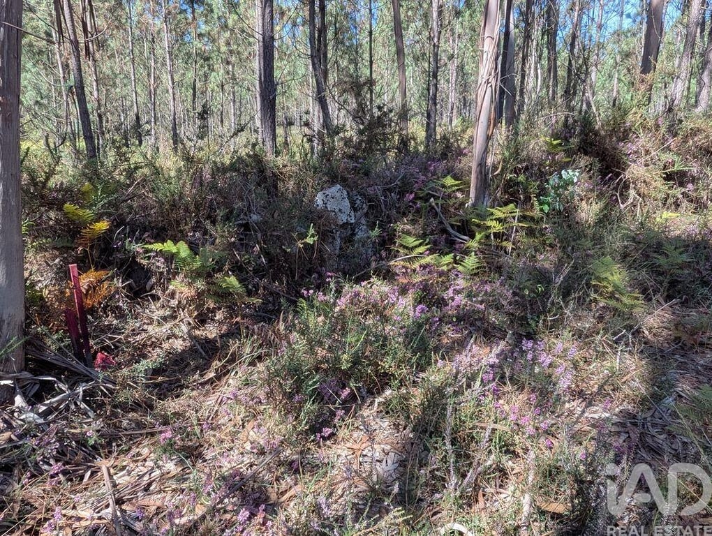 Land in Fragoso