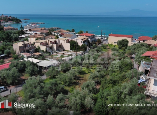 Land in Avia - Image 2