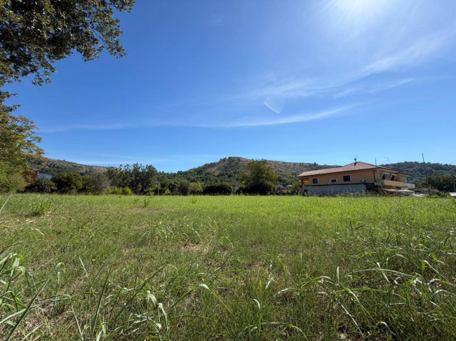 Land in Arce