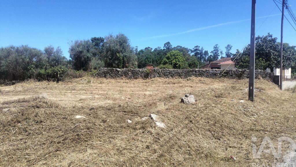 Land in Canas de Santa Maria - Image 3