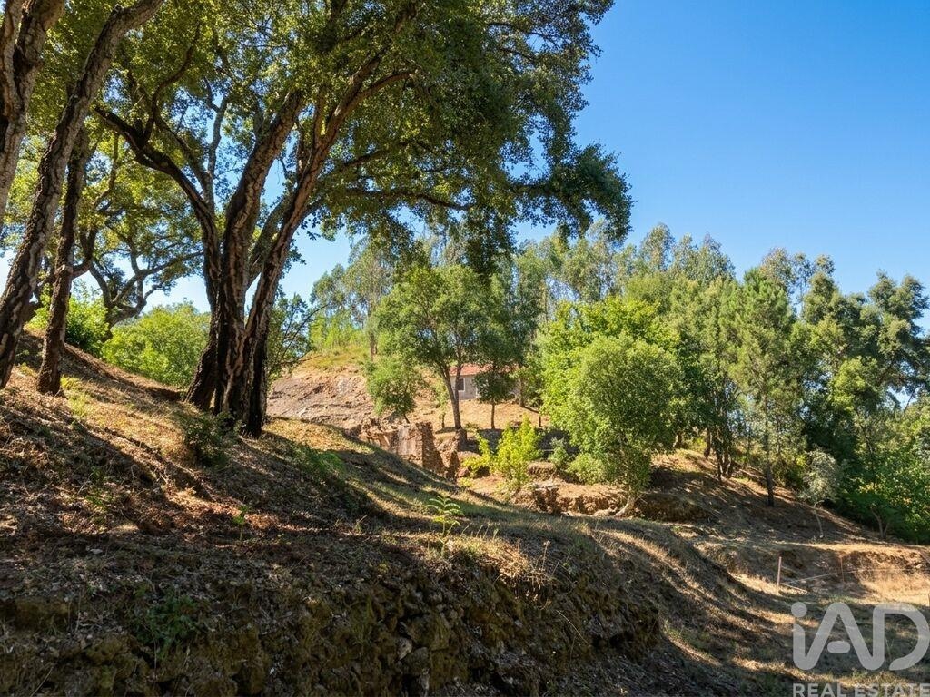 Farm, Ranch or Equestrian in Castelo - Image 2
