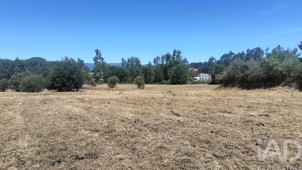 Land in Canas de Santa Maria - Image 3