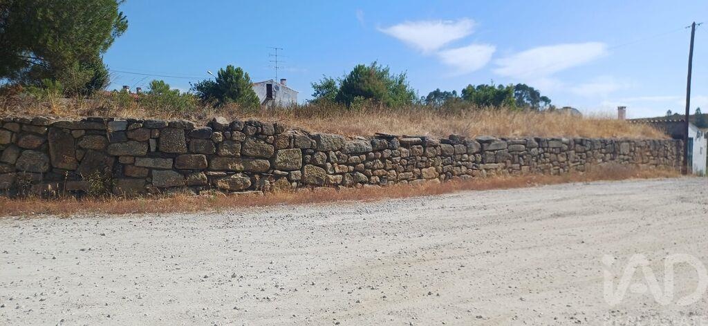 Land in Castelo Branco - Image 2