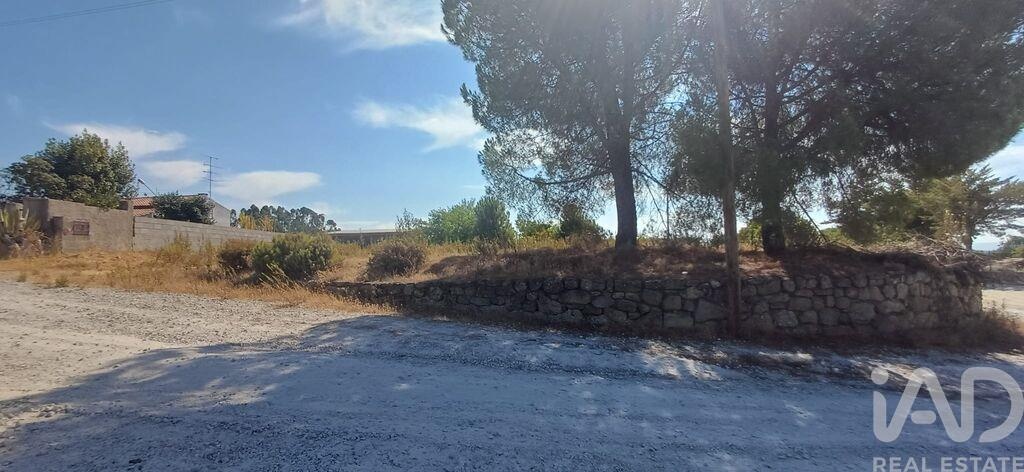 Land in Castelo Branco - Image 3