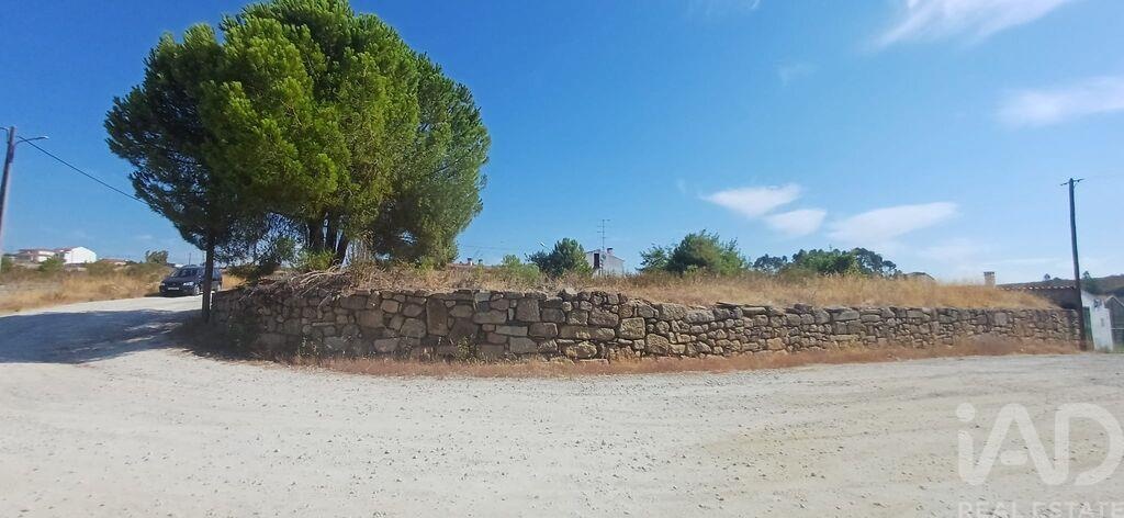 Land in Castelo Branco