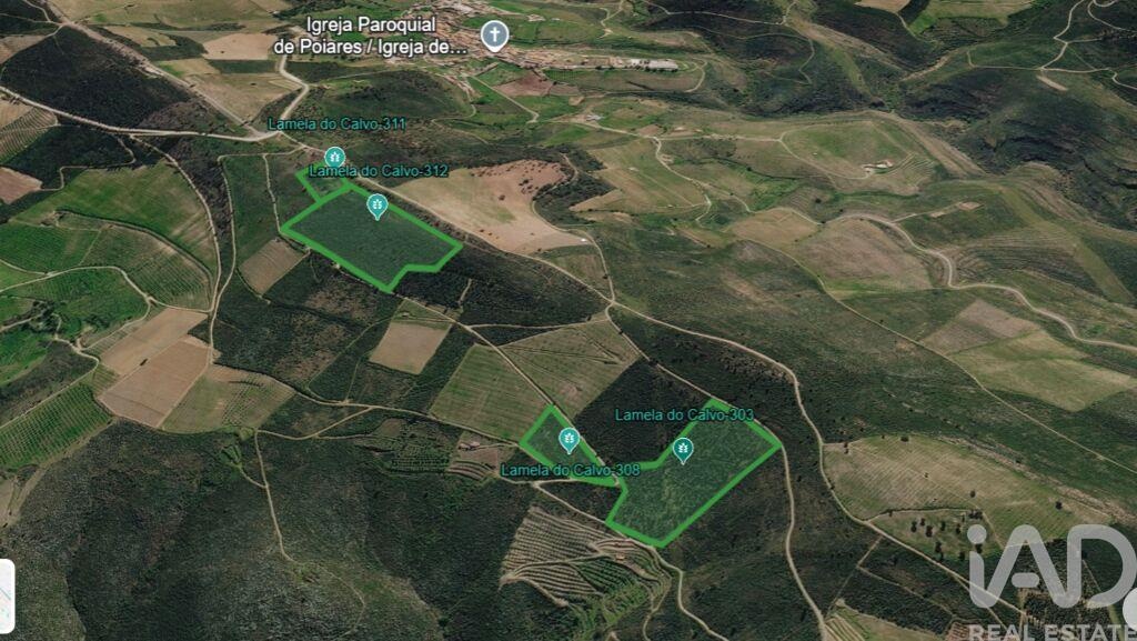 Land in Poiares
