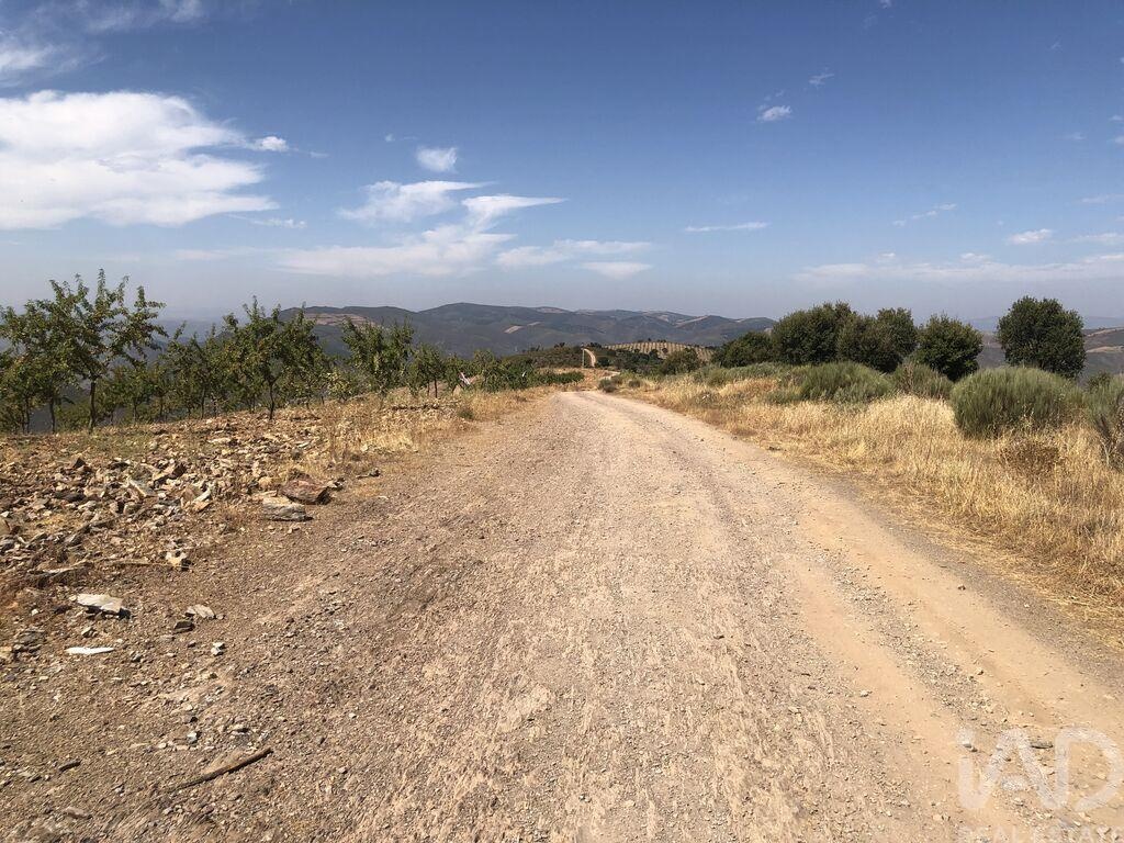 Land in Poiares - Image 3