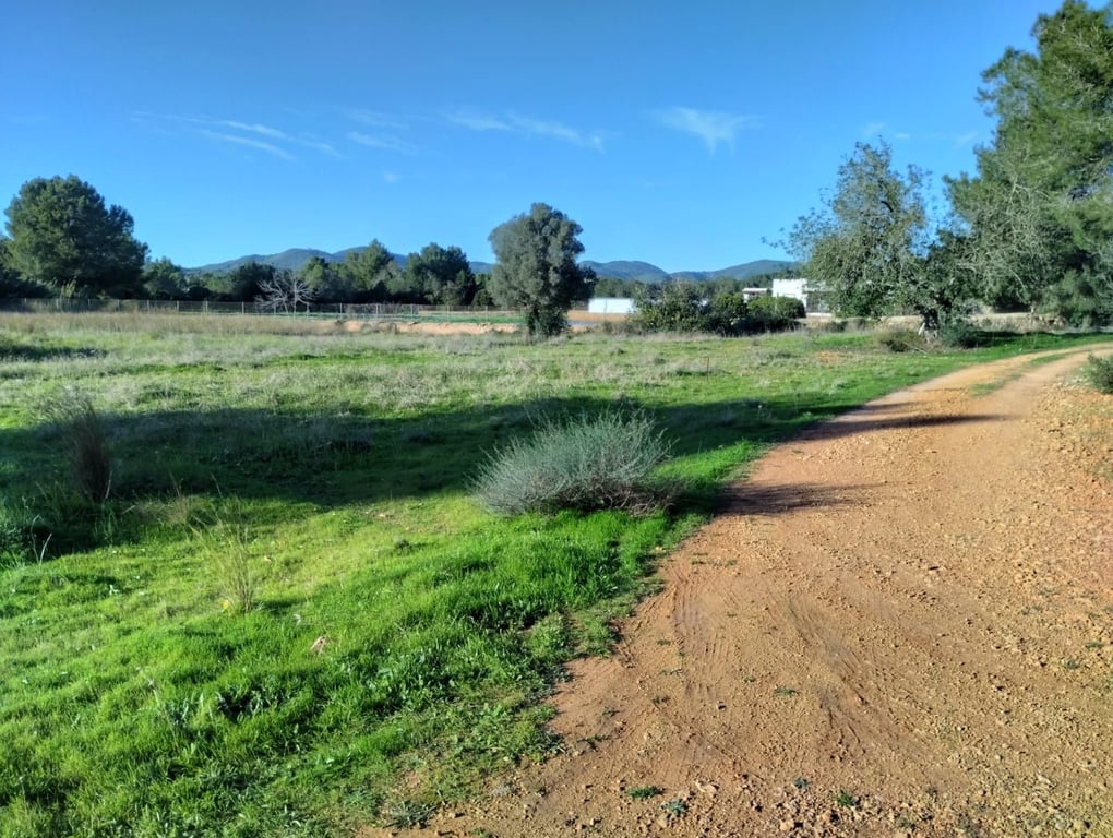 Farm, Ranch or Equestrian in Santa Eularia des Riu