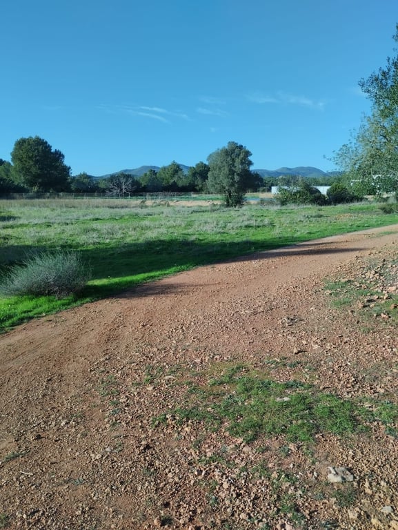 Farm, Ranch or Equestrian in Santa Eularia des Riu - Image 3