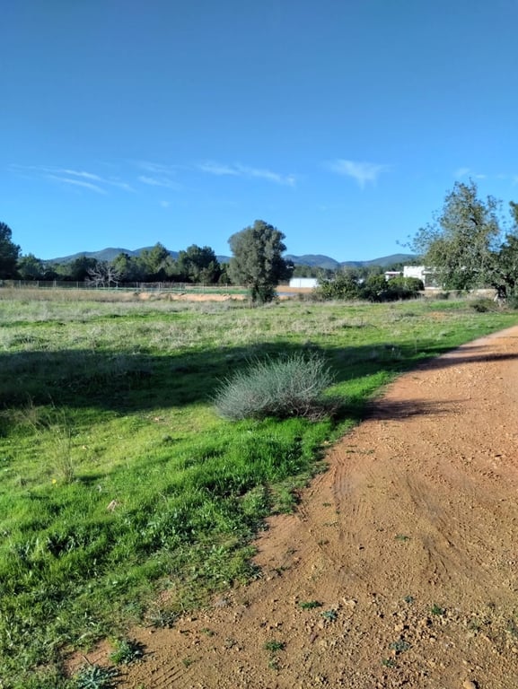 Farm, Ranch or Equestrian in Santa Eularia des Riu - Image 2