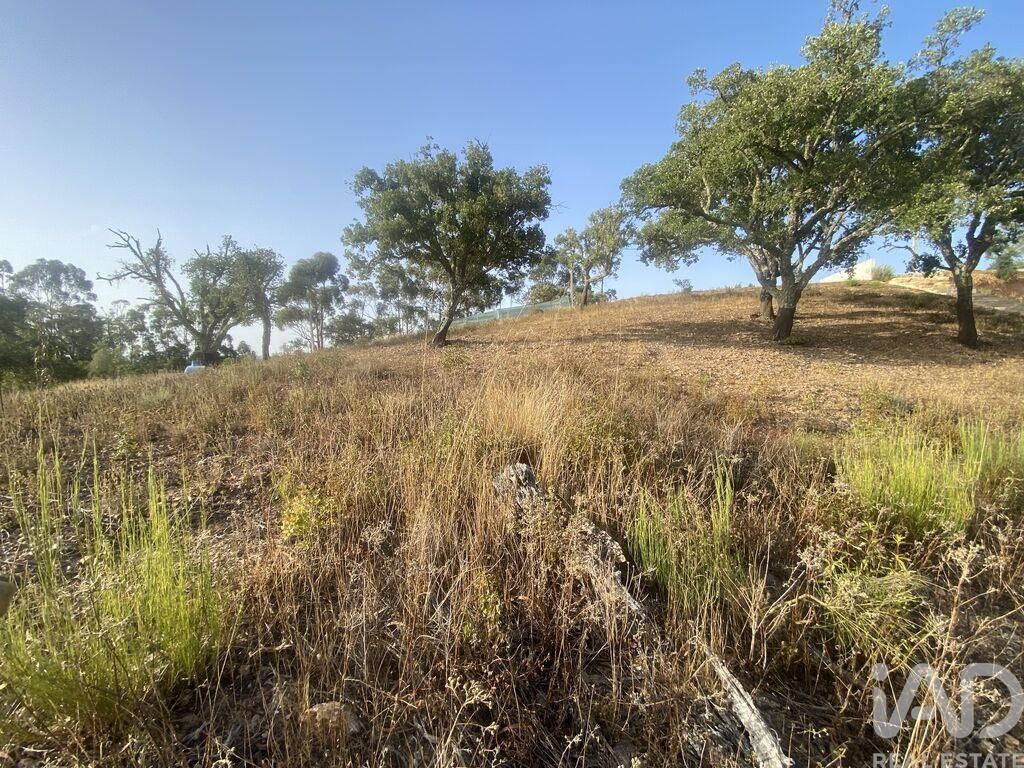 Land in Sao Bras de Alportel