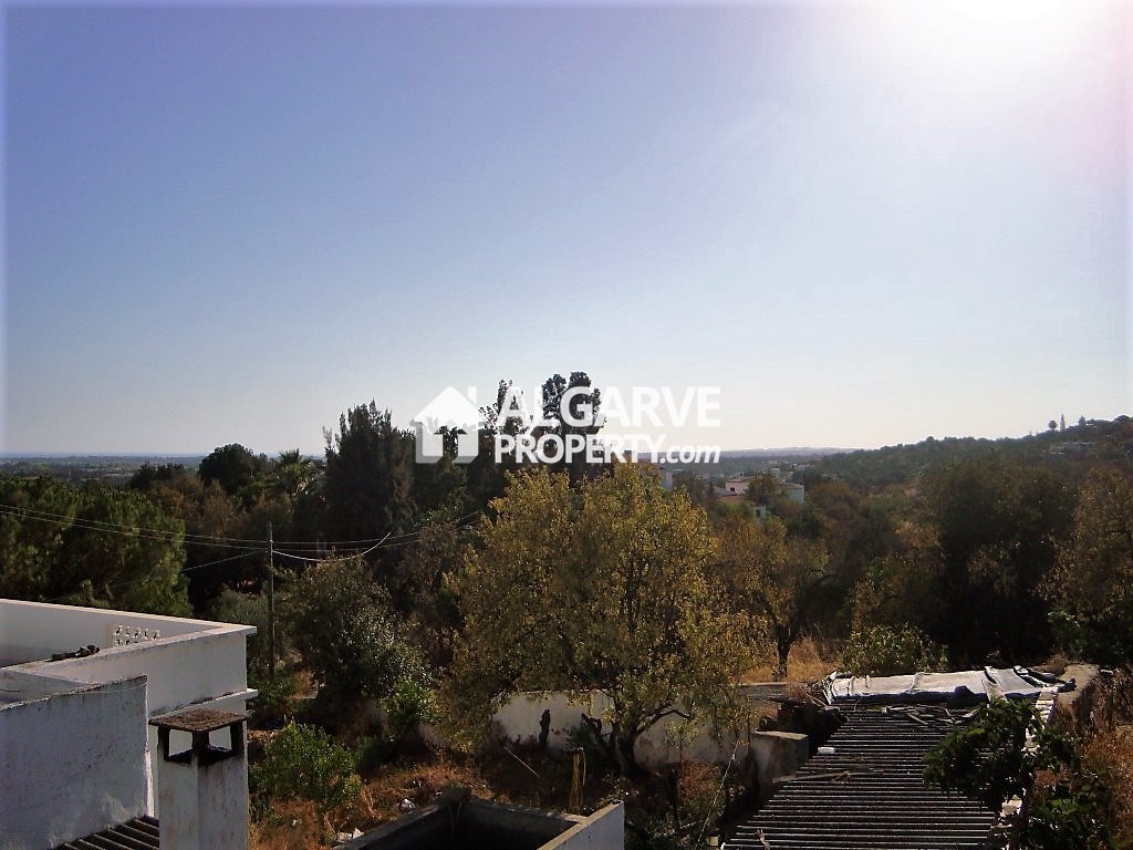 Land in Monte Poco - Image 3