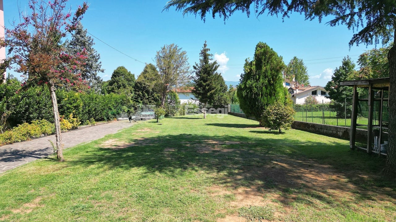 House in Vicopelago - Image 2