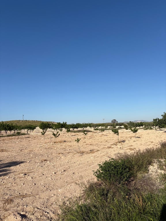 Farm, Ranch or Equestrian in El Carche - Image 3