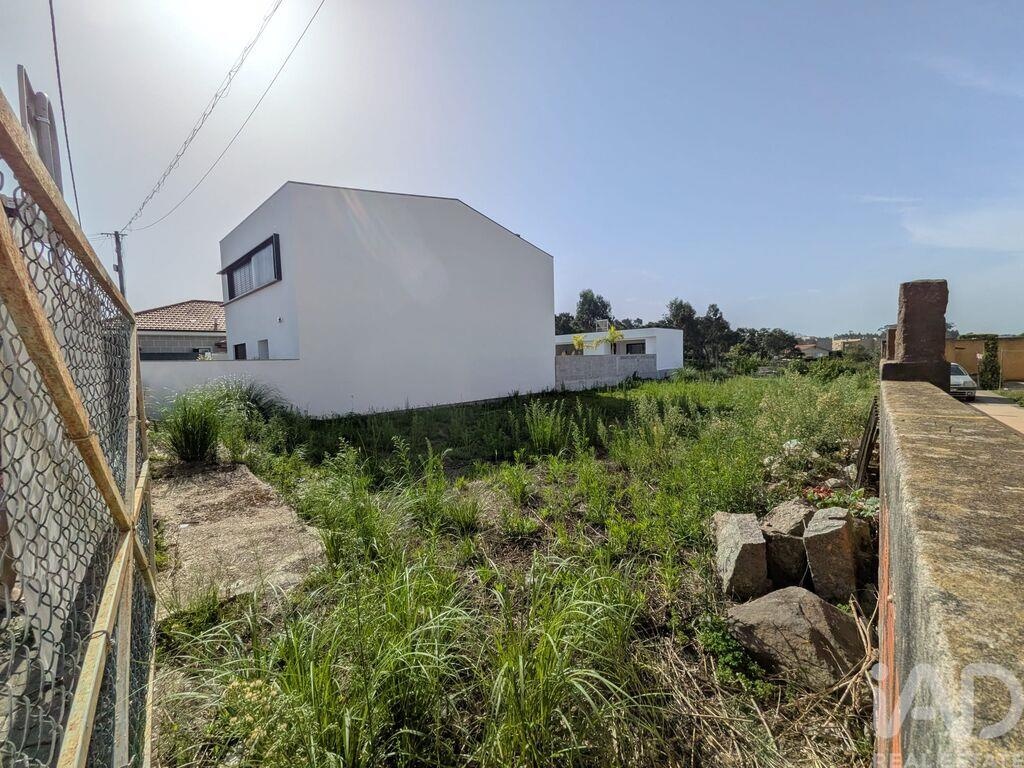 Land in Madalena - Image 3