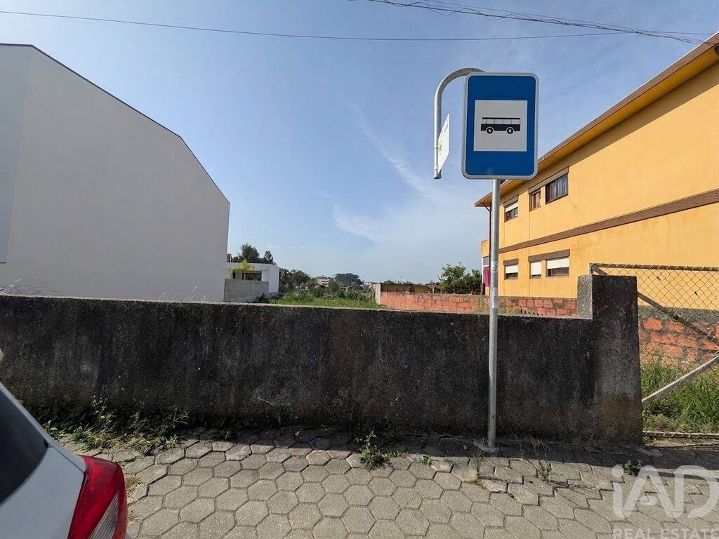 Land in Madalena - Image 2